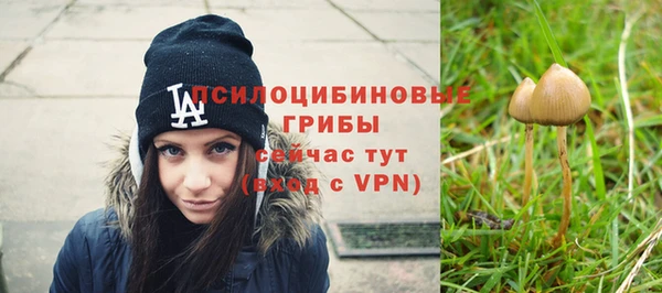 гидропоника Абаза