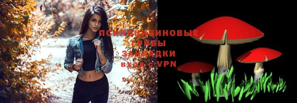 гидропоника Абаза