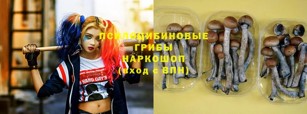 гидропоника Абаза