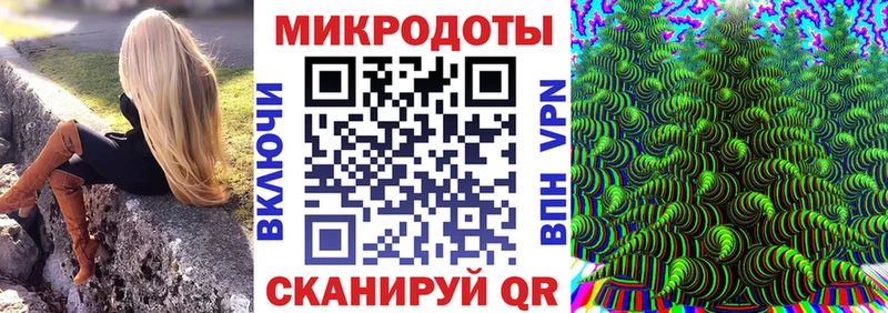 купить наркоту  Бежецк  Псилоцибиновые грибы MAGIC MUSHROOMS 