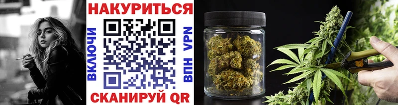 где можно купить   Бежецк  Канабис семена 